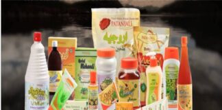 Patanjali Ayurved successfully bids for food park in Mihan