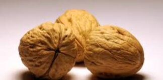 The Indian connect to California walnuts
