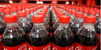 Coca-Cola India rejigs senior management roles