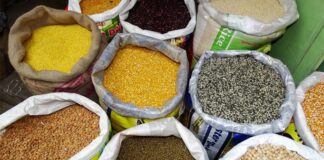 Centre to use postal network for pulses distribution