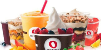 Frozen yogurt chain Red Mango reinvents India strategy, to open food outlets soon
