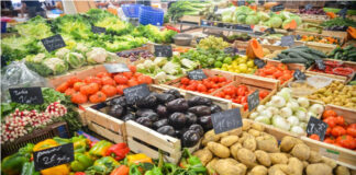 Centre accords approval to set up mega food park in Mandsaur
