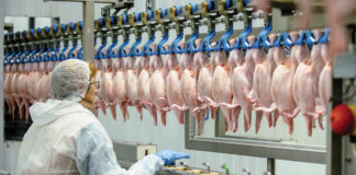 Why processed chicken is just 5 per cent of the total poultry market!