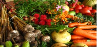 FSSAI to introduce regulations for organic foods