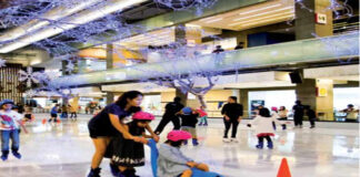 Turning malls into profit centres with a dash of entertainment
