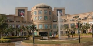 DLF Promenade has performed beyond our expectations, says DLF Premium Malls' Pushpa Bector
