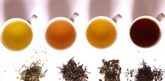 Tata Global Beverages announces pilot launch of tea cafe