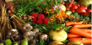 Foreign buyers keen on Indian organic products