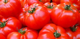 Tomato prices cooling down